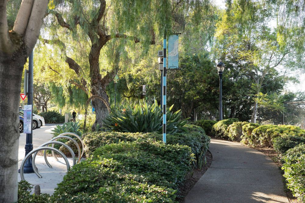 A sunny landscaped park path lined with trees and bushes, with bike racks and a streetlamp on the left.