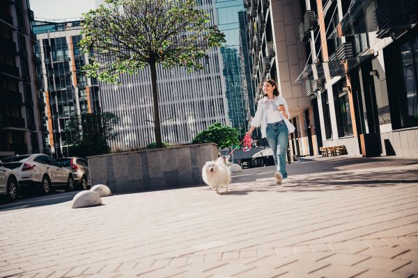 Woman walks a fluffy white dog on a city sidewalk, holding coffee, with modern buildings and a tree in the background.